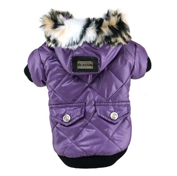 manteau classic violet pour chien
