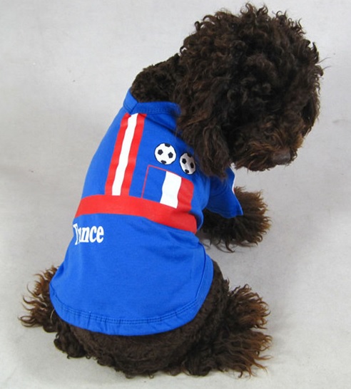 maillot de foot pour chien 11