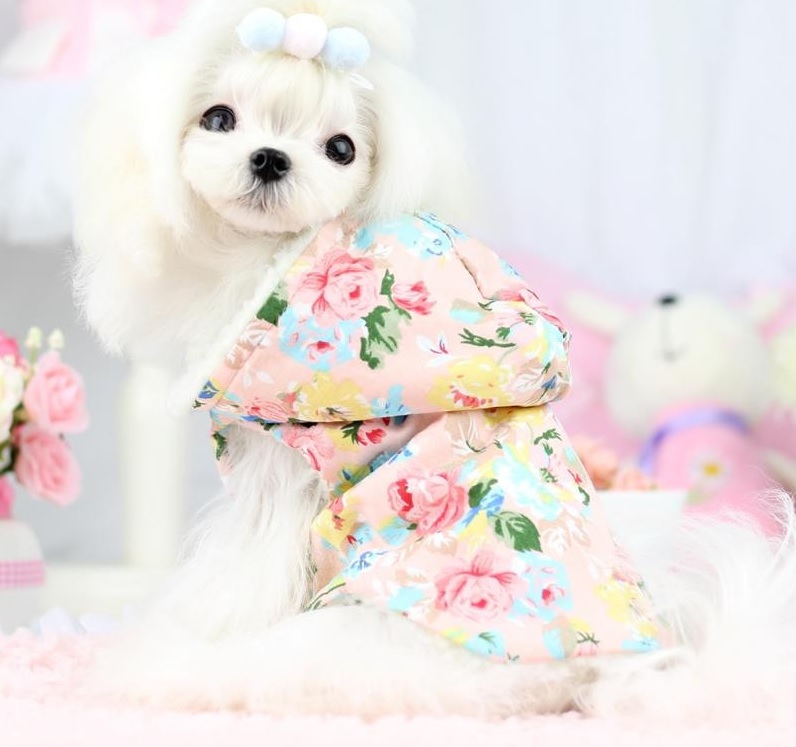 manteau rose a fleurs pour chien