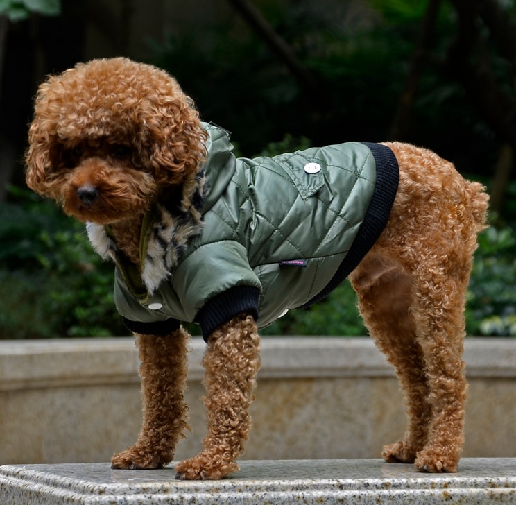 manteau classic kaki pour chien 1
