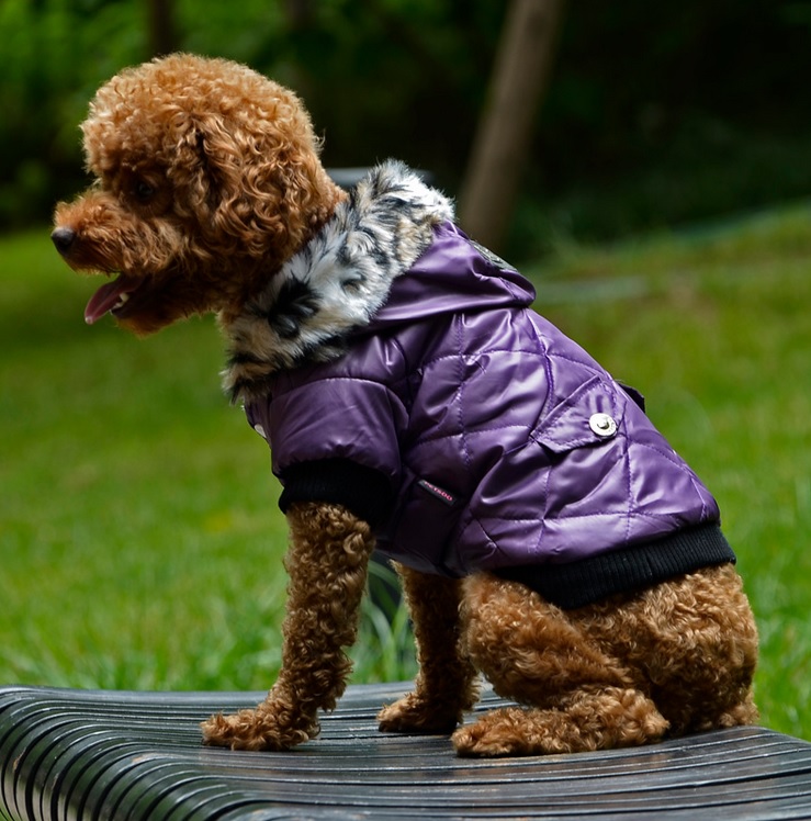 manteau classic parme pour chien
