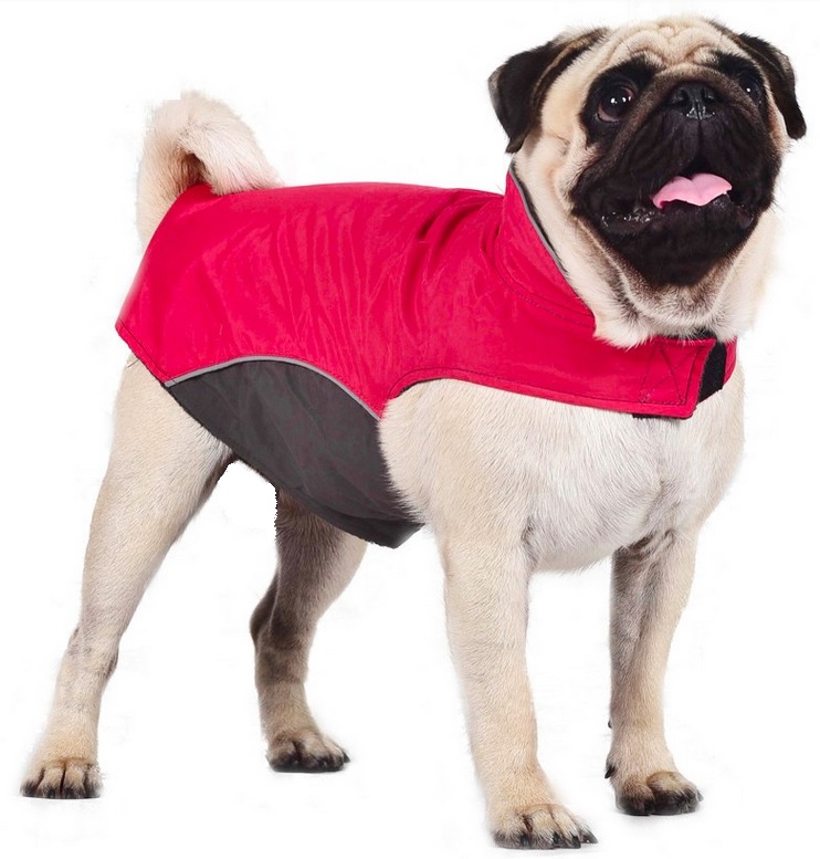 manteau de ski rouge pour chien 1