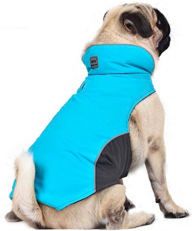 manteau de ski bleu ciel pour chien