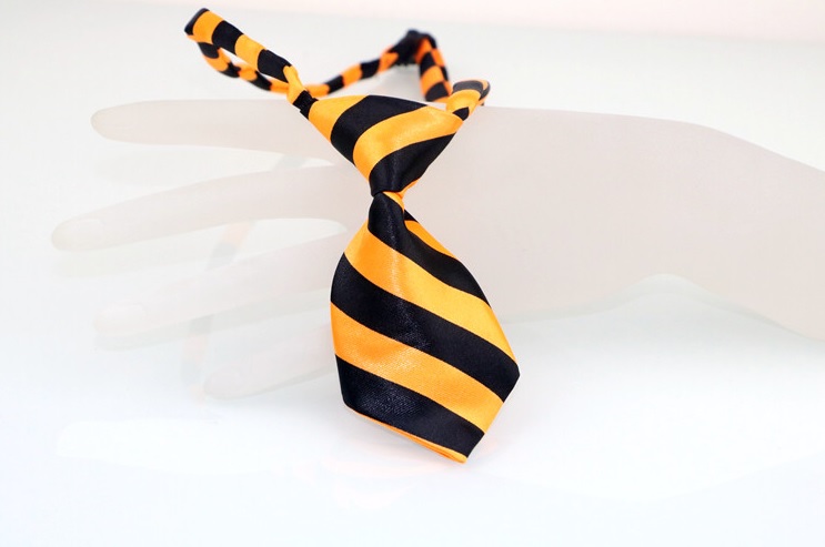 cravate rayee orange et noire pour chien 1