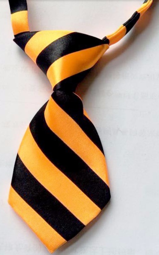 cravate rayee orange et noire pour chien
