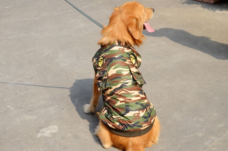 doudoune camouflage pour chien 1