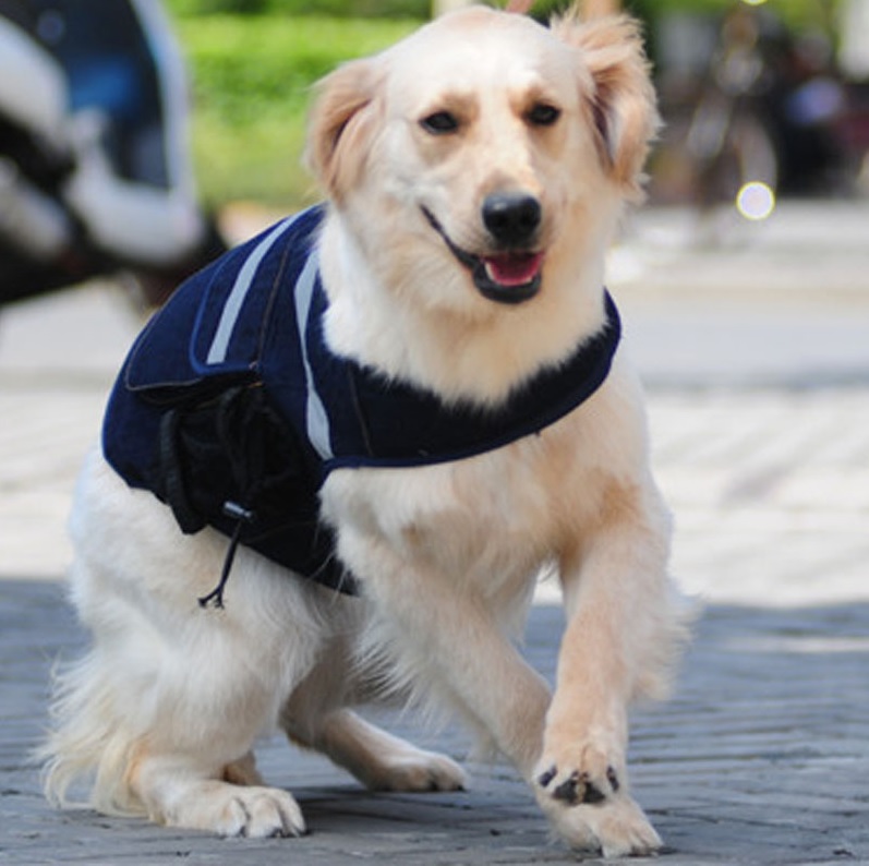 sac en dos en jean pour chien