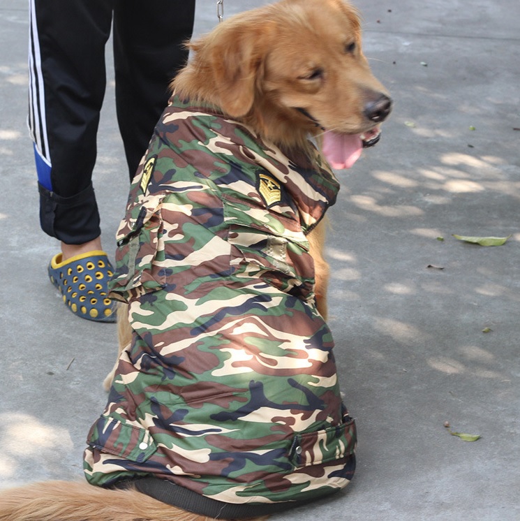 manteau camouflage pour grand chien 2