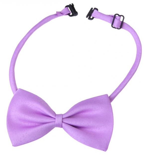 noeud papillon mauve pour chien 4