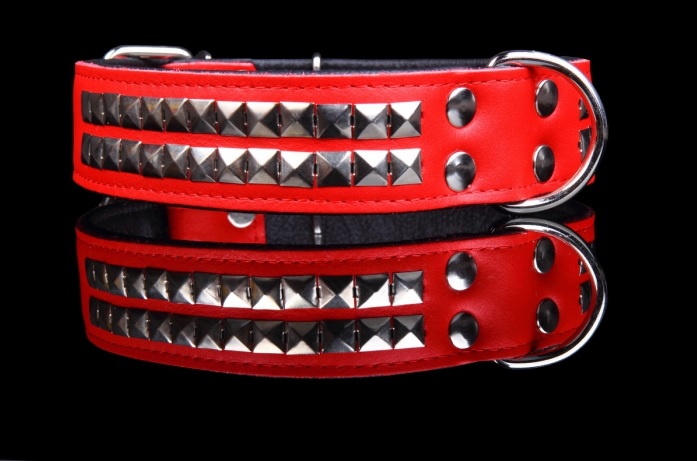 collier rouge pour chien avec rivets