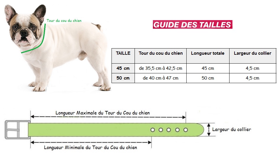 collier pour chien bouledogue français taille