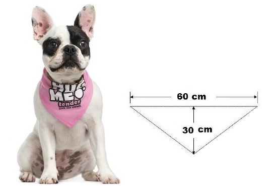 bandana pour chien 60 x 30 cm