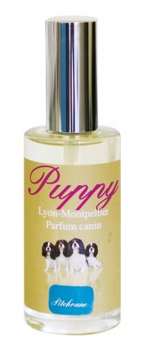 parfum puppy pitchoune pour chien