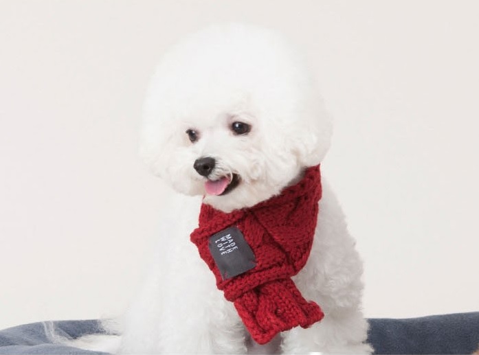 echarpe rouge pour chien
