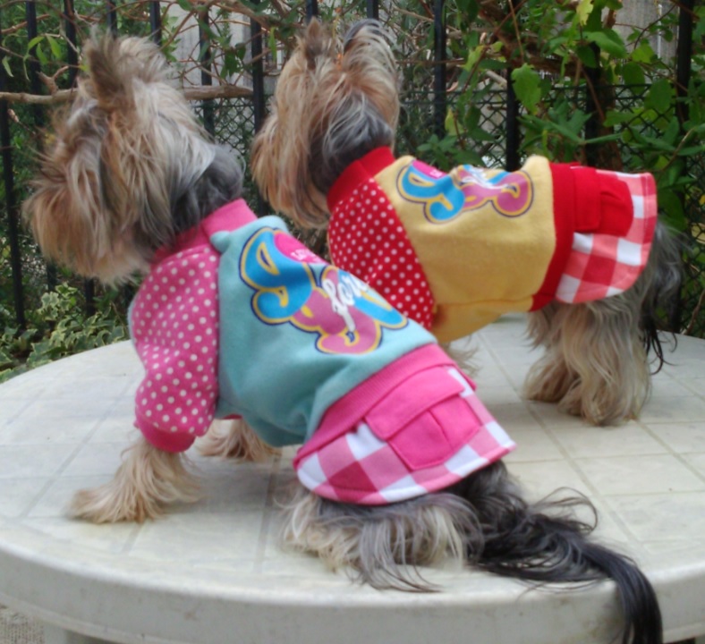 robe Fashion pour chien portée par Laly et Lilou 1