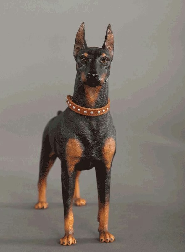 collier marron avec rivets pour chien doberman