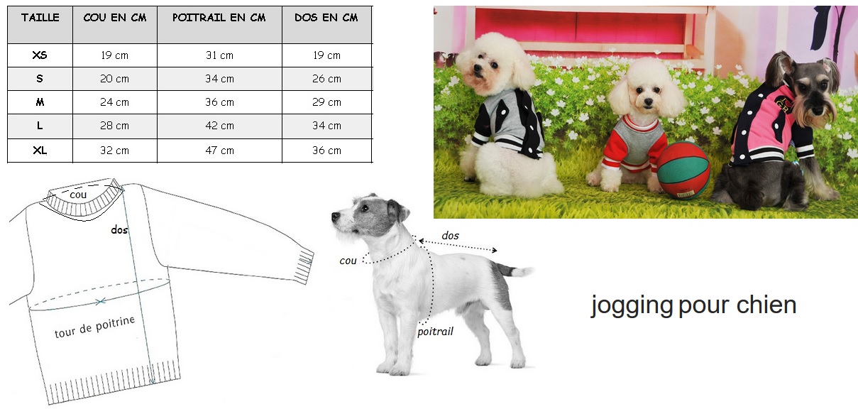 jogging pour chien taille
