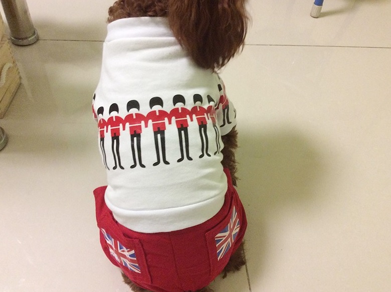 pantalon british pour chien