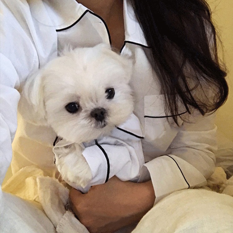 veste de pyjama blanche pour chien2