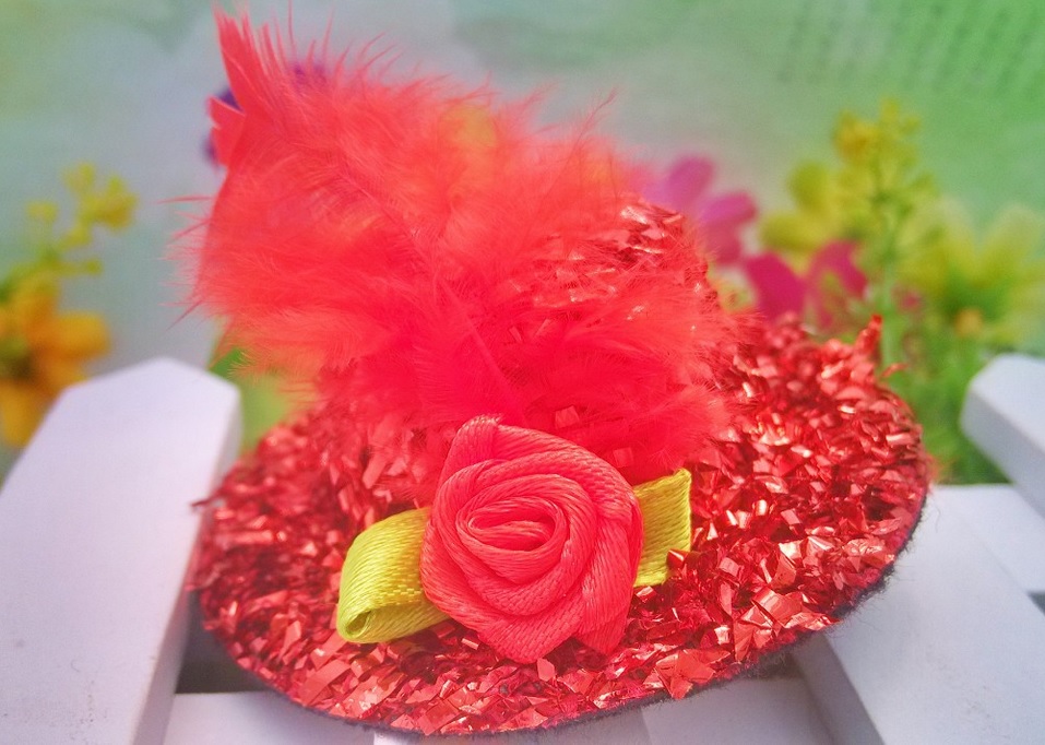 barrette chapeau rouge plume rouge pour chien