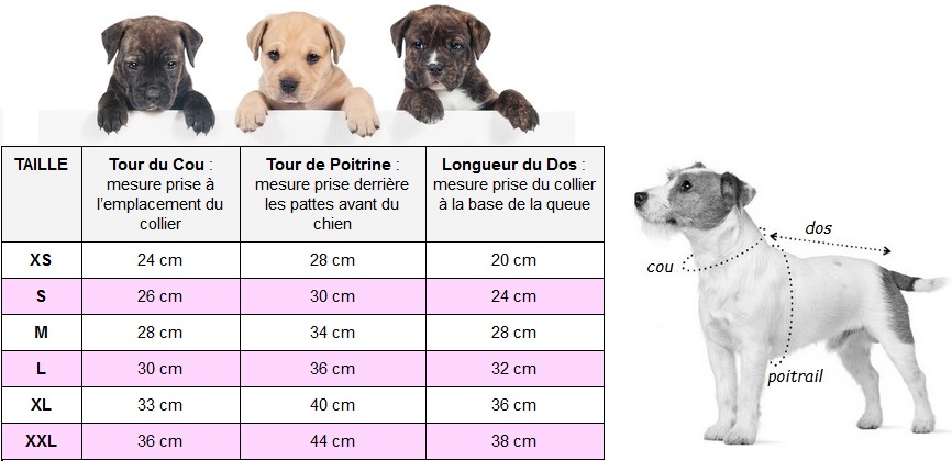 T-shirt Ambaby pour chien Taille (2)