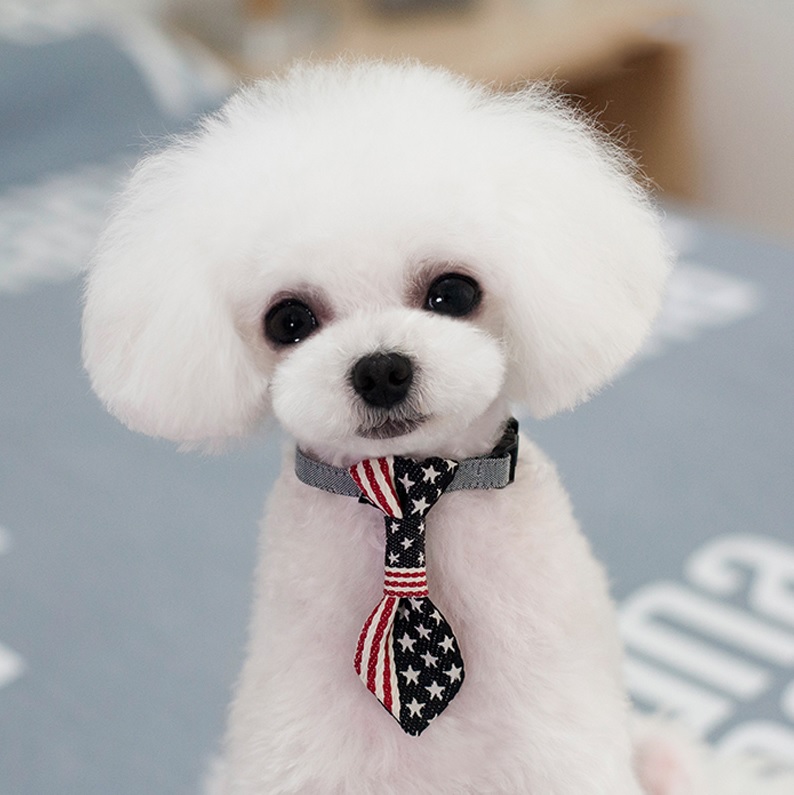 Cravate de cou de chien Couleur unie Tête réglable Porter Pet Bow