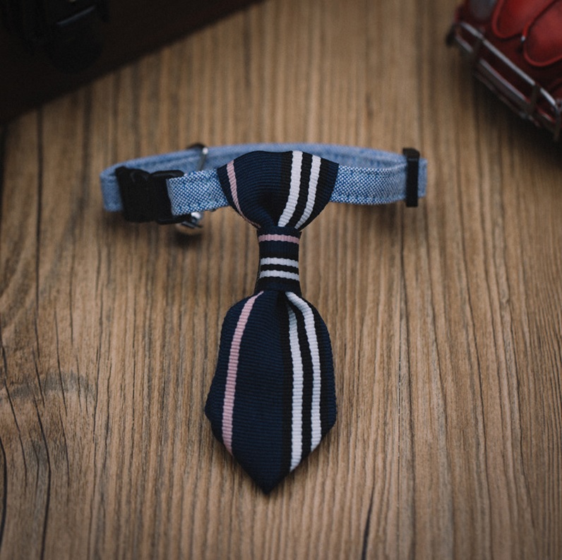 cravate bleue pour chien