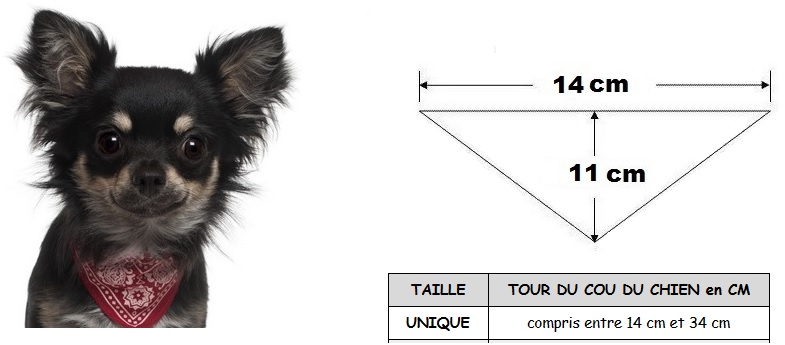 collier-bandana-pour-chien-14-x-11-cm