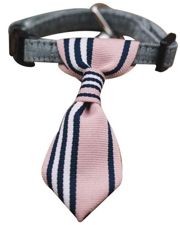 cravate rose pour chien 3