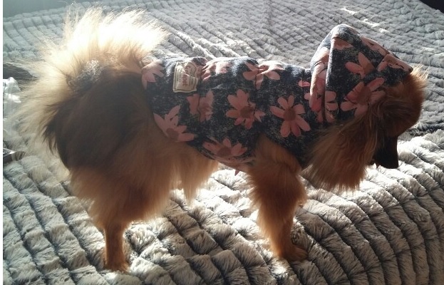 manteau à fleurs roses pour chien 1