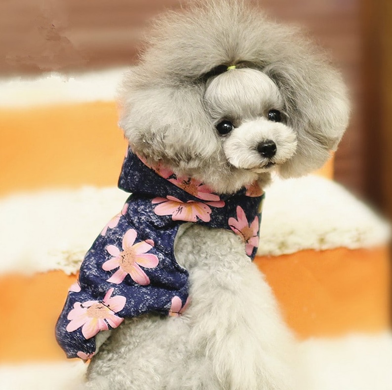 manteau à fleurs roses pour chien 2