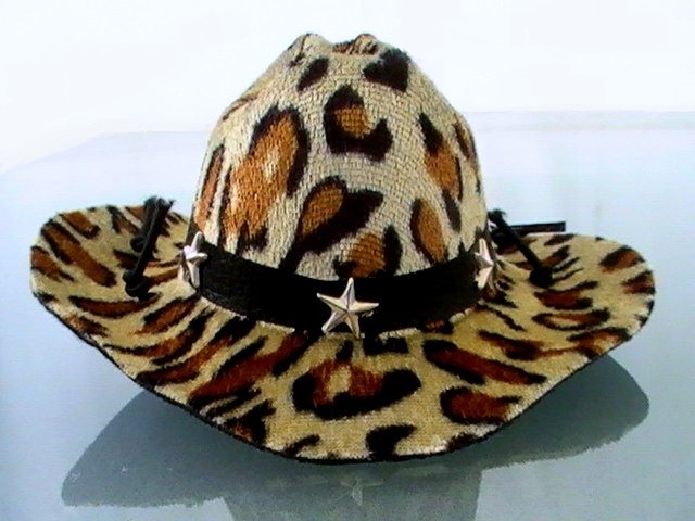 chapeau-decow-boy-pour-chien-motif-leopard-beige-2