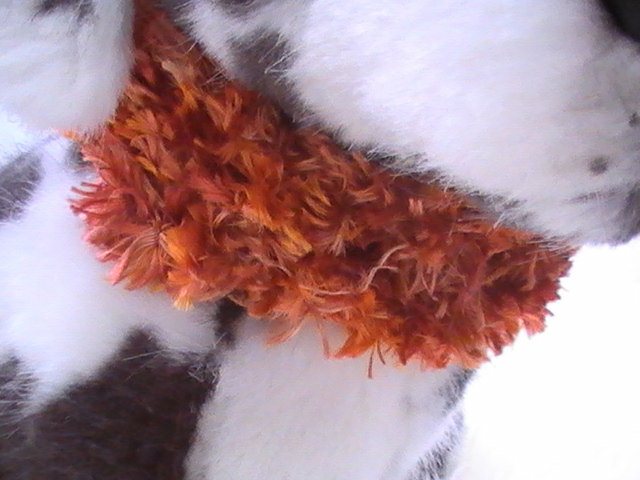 echarpe-et-barrette-orange-en-laine-pour-chien
