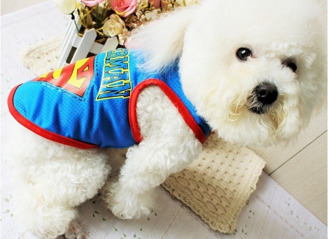 t-shirt-superman-pour-chien