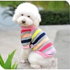 pull rose pour chien