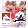 manteau malboro pour chien 9