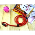 laisse-en-nylon-pour-chien-rouge