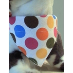 bandana-pour-chien-a-gros-pois-multicolores-pres