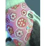 bandana-chien-d14-2