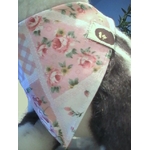 bandana-chien-d10-2