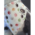 bandana-chien-d11-2