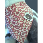 bandana-chien-d17-2