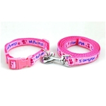 collier-et-laisse-pour-chien-rose