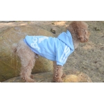 jogging-adidog-bleu-pour-petit-chien