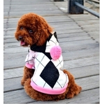 pull-british-rose-pour-chien