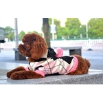 pull-british-rose-pour-chien-1