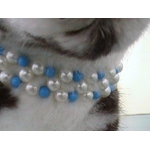 collier-bicolore-blanc-et-bleu-pour-chien