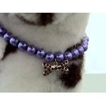 bijoux-collier-pour-chien-perles-mauvesbarrette-pour-chien-001
