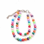 collier-de-perles-multicolores-pour-caniche