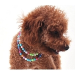 collier-de-perles-multicolores-pour-chien-7